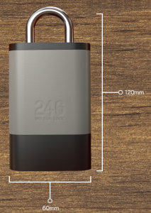 スマートロック 246 Padlock