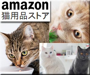 Amazon キャットフード・猫用品ストア
