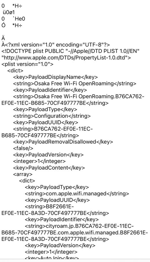 XMLコードエラー画面
